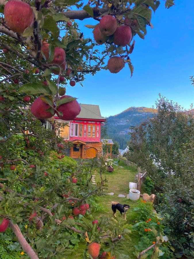 Meena Bagh Ratnari- An Apple Orchard Bungalow Bagi Ngoại thất bức ảnh