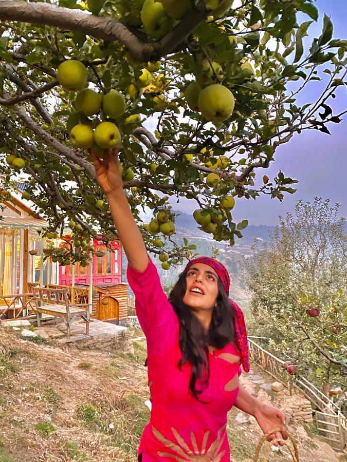 Meena Bagh Ratnari- An Apple Orchard Bungalow Bagi Ngoại thất bức ảnh